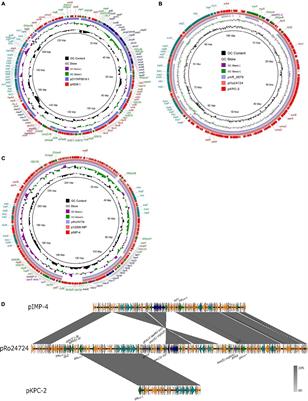 Emergence and Genomic Characterization of a KPC-2-, NDM-1-, and IMP-4-Producing <mark class="highlighted">Klebsiella michiganensis</mark> Isolate